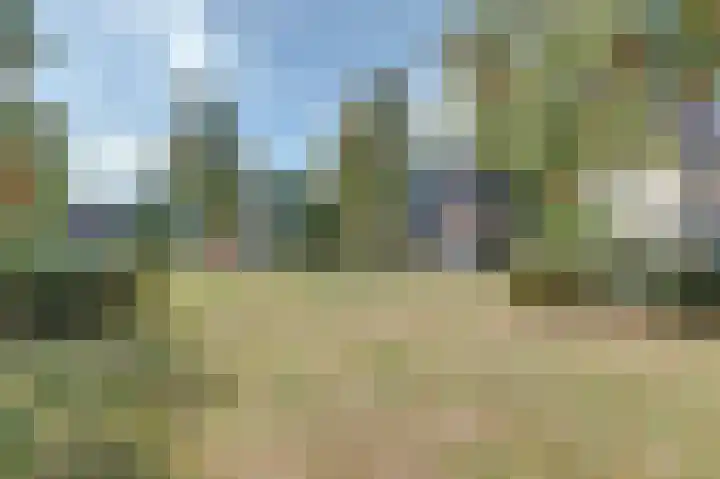 Valerianuslaan 35 Beuningen Gld thumbnail 43