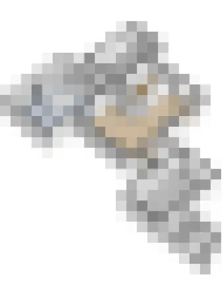 Valerianuslaan 35 Beuningen Gld thumbnail 46