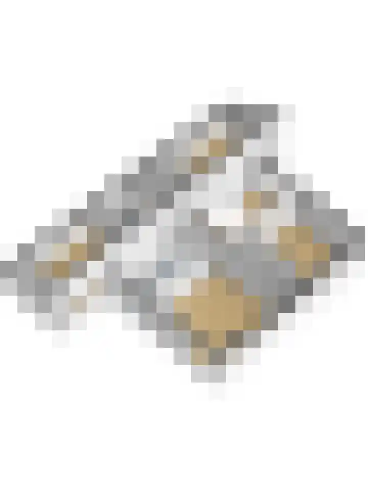 Valerianuslaan 35 Beuningen Gld thumbnail 48