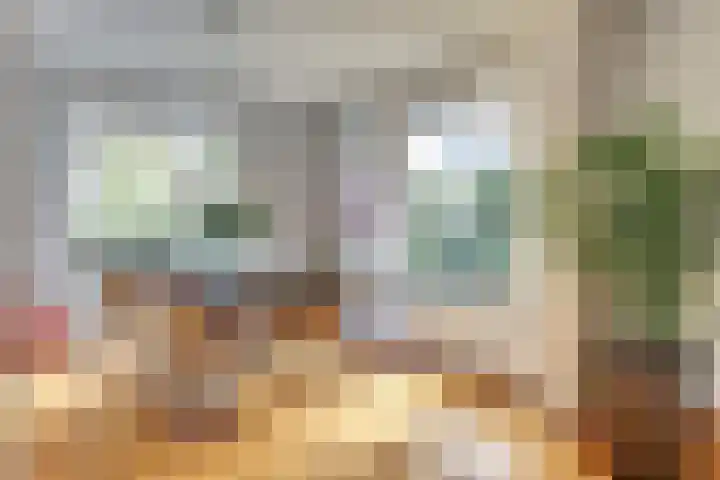 Valerianuslaan 35 Beuningen Gld thumbnail 7
