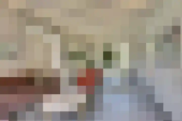 Valerianuslaan 35 Beuningen Gld thumbnail 9