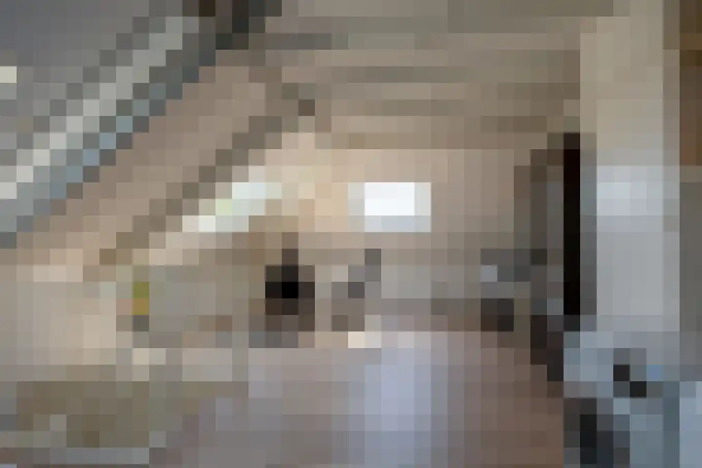 Valerianuslaan 36 Beuningen Gld thumbnail 32