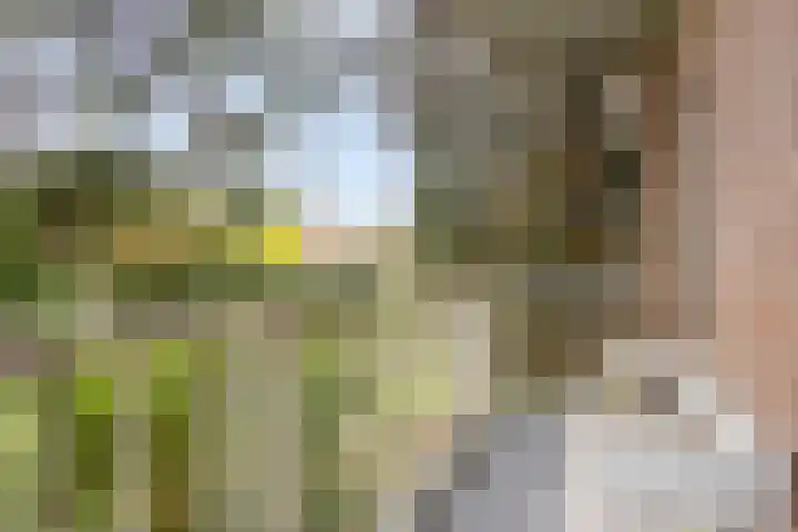 Valeriushof 1 B Amersfoort thumbnail 16