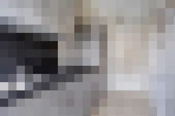 Valeriushof 1 B Amersfoort thumbnail 18