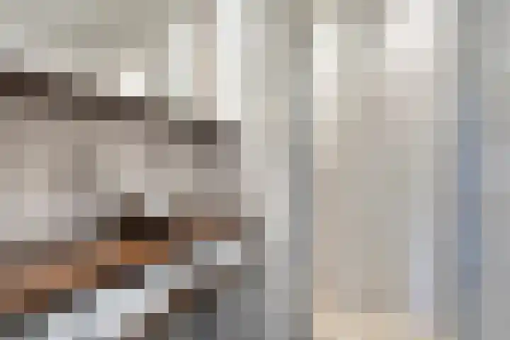 Valeriushof 1 B Amersfoort thumbnail 24