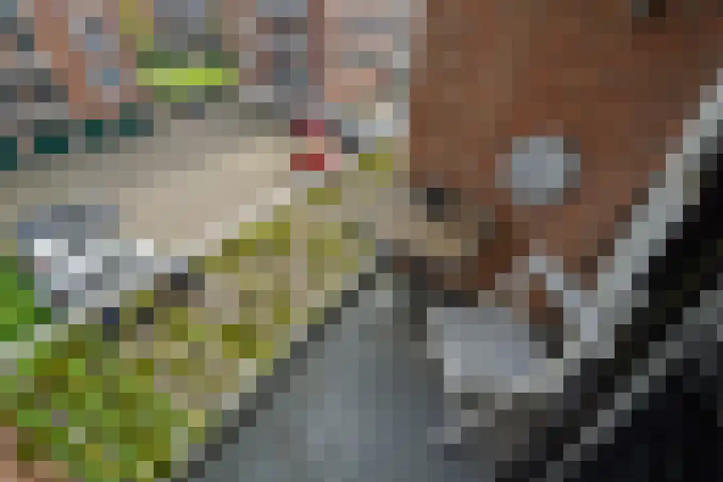 Valeriushof 11 D Amersfoort thumbnail 23