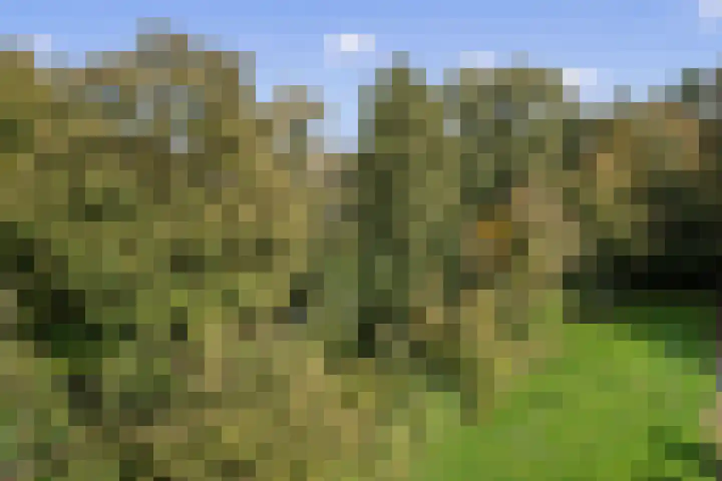 Valeriushof 11 D Amersfoort thumbnail 34