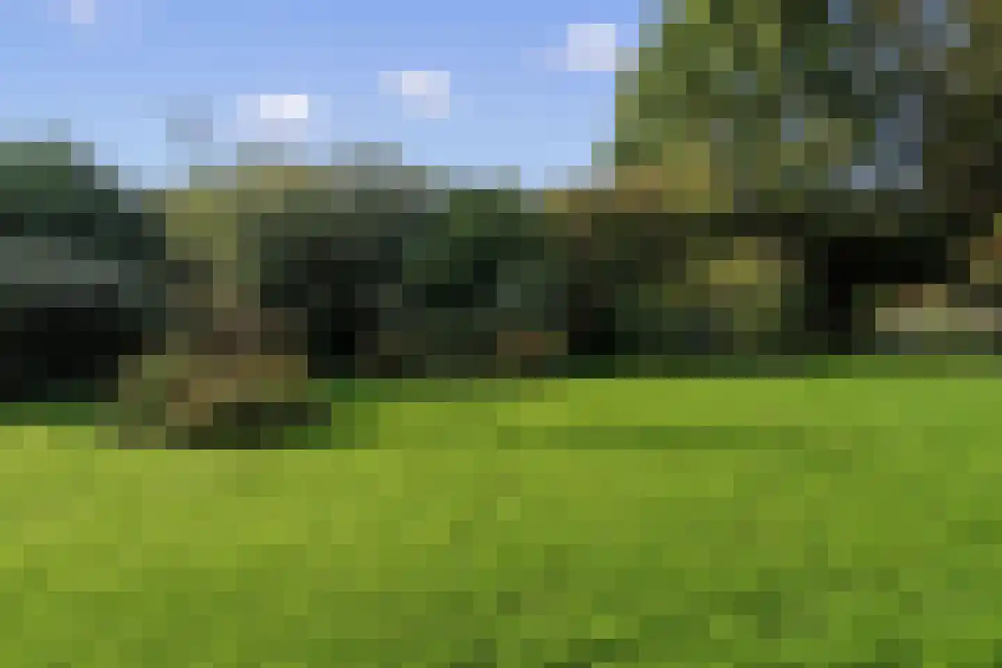 Valeriushof 11 D Amersfoort thumbnail 9