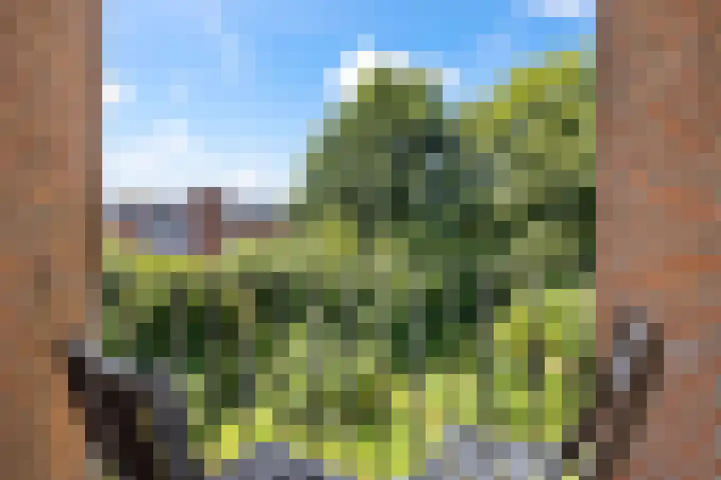 Valeriushof 12 C Amersfoort thumbnail 21