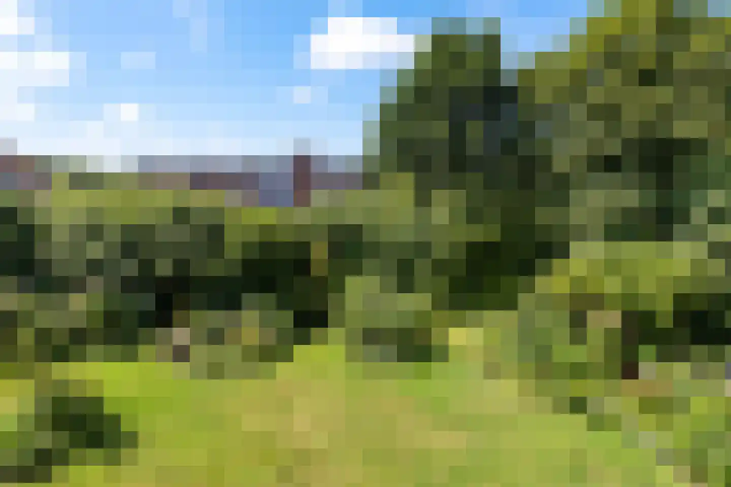 Valeriushof 12 C Amersfoort thumbnail 22