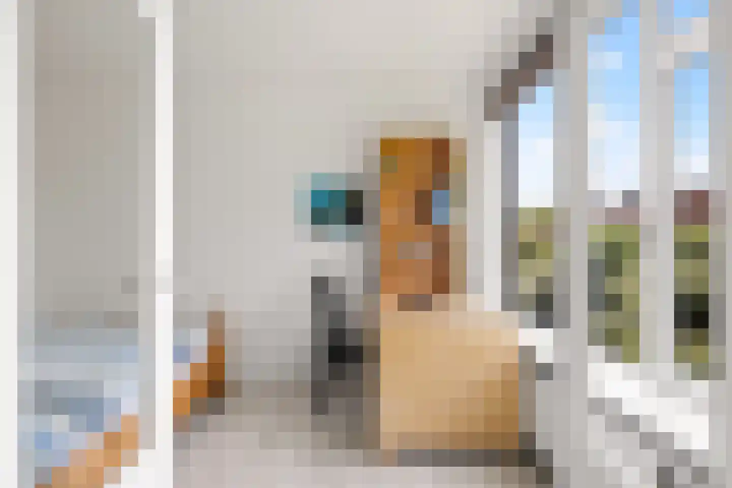 Valeriushof 12 C Amersfoort thumbnail 4