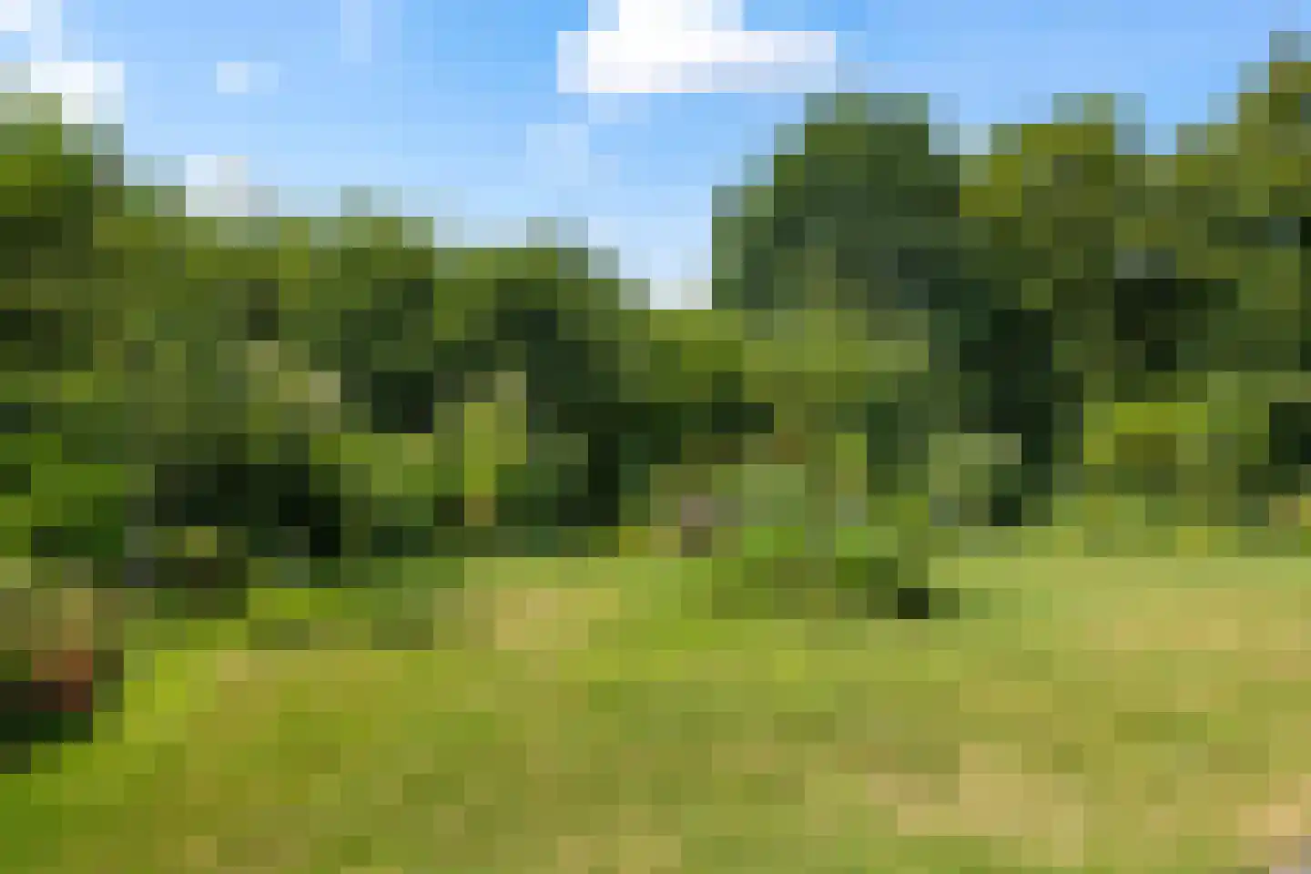 Valeriushof 12 C Amersfoort thumbnail 41