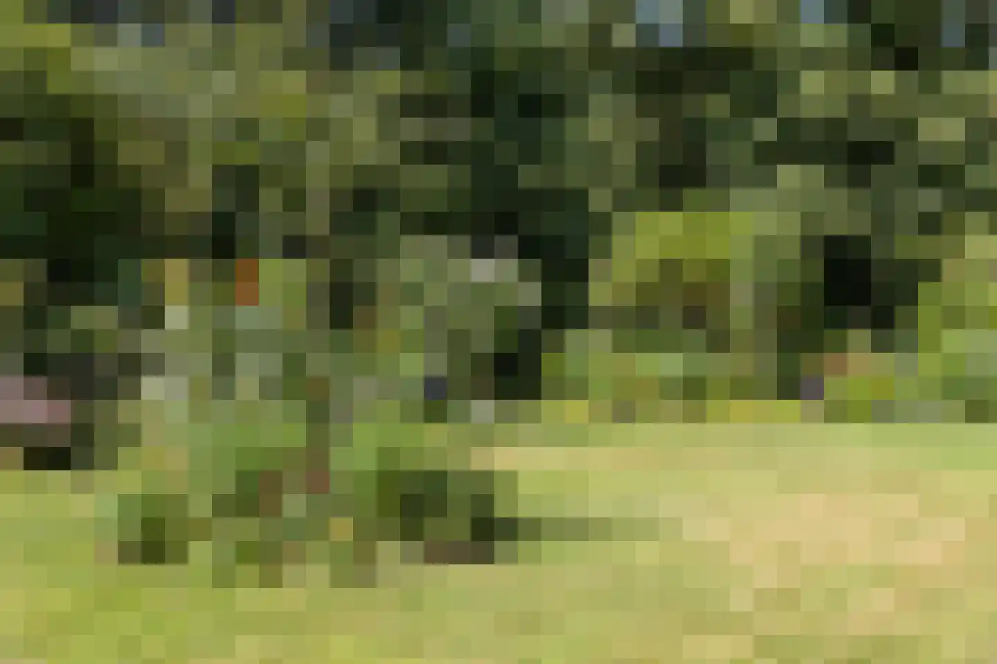 Valeriushof 12 C Amersfoort thumbnail 43