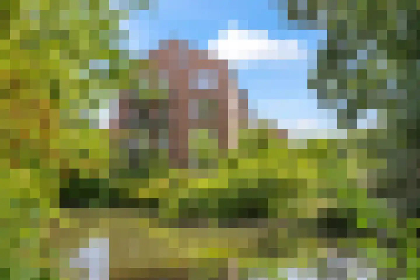 Valeriushof 12 C Amersfoort thumbnail 45
