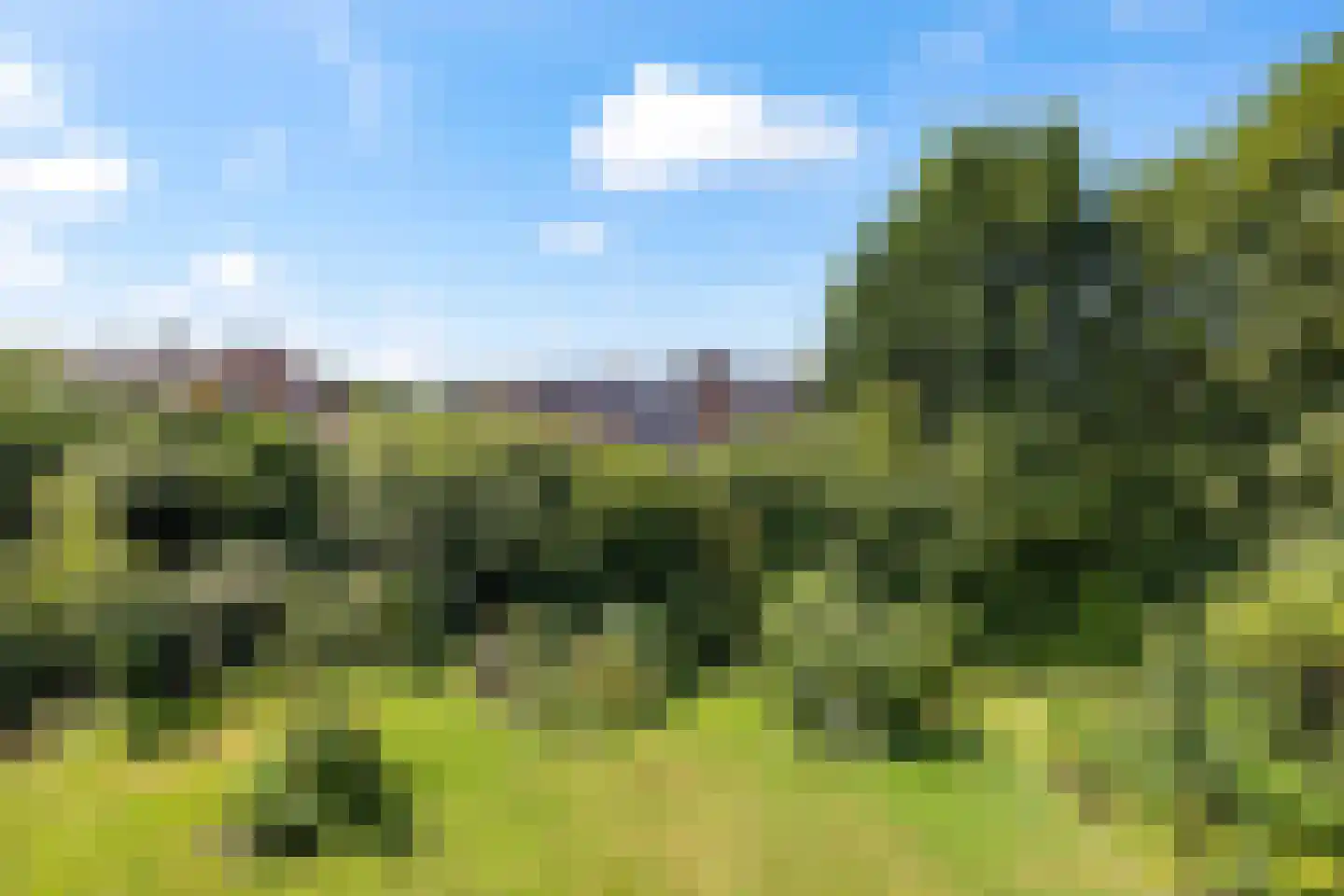 Valeriushof 12 C Amersfoort thumbnail 6