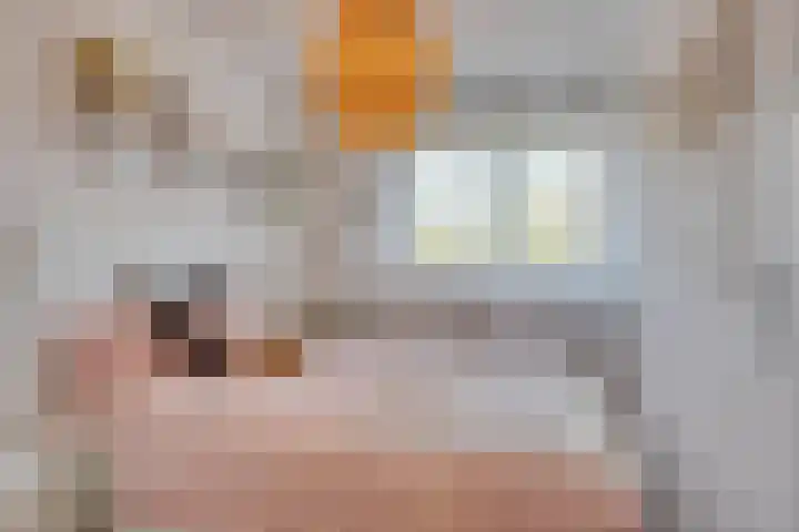 Valeriushof 15 B Maastricht thumbnail 21