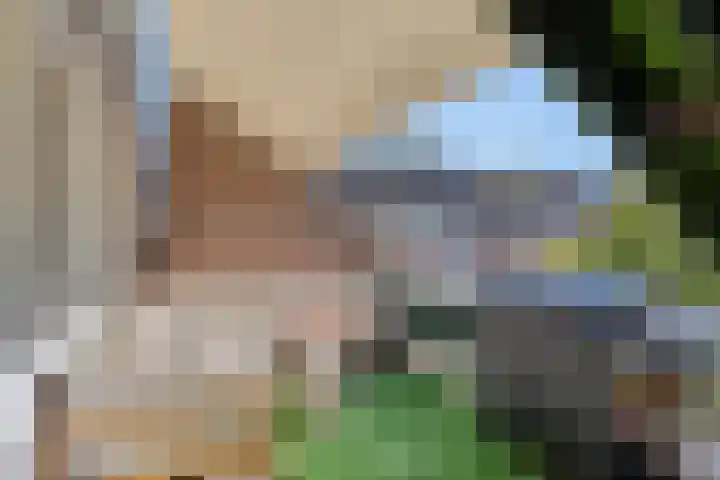 Valeriushof 15 B Maastricht thumbnail 28