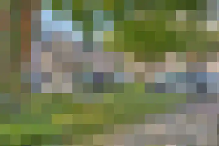 Valeriushof 15 B Maastricht thumbnail 39