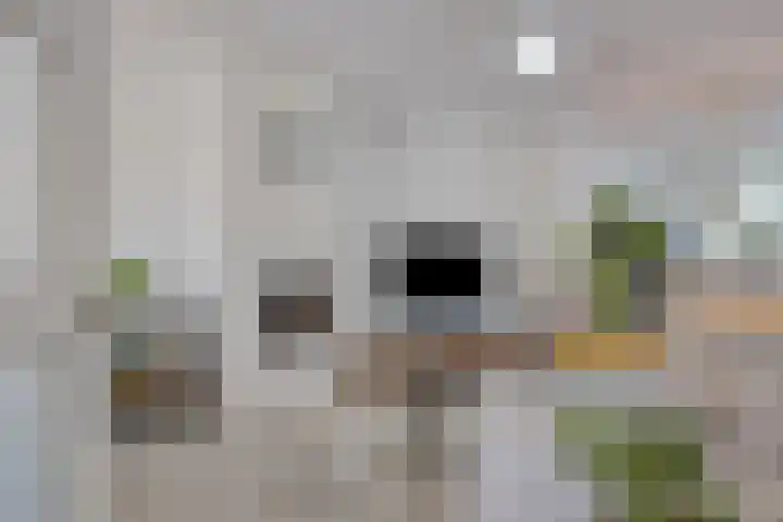 Valeriushof 15 B Maastricht thumbnail 7