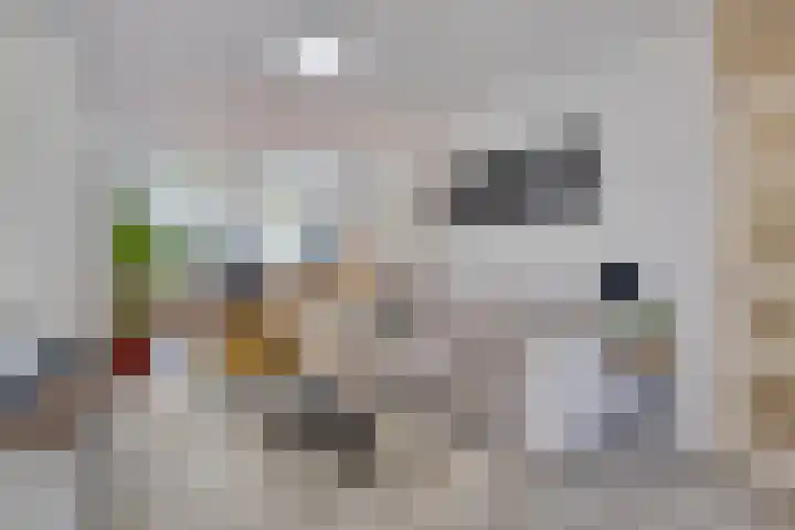 Valeriushof 15 B Maastricht thumbnail 8