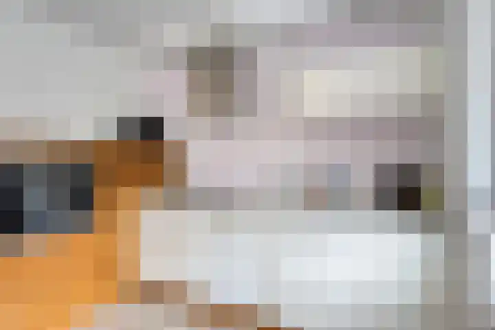 Valeriushof 19 A Maastricht thumbnail 10