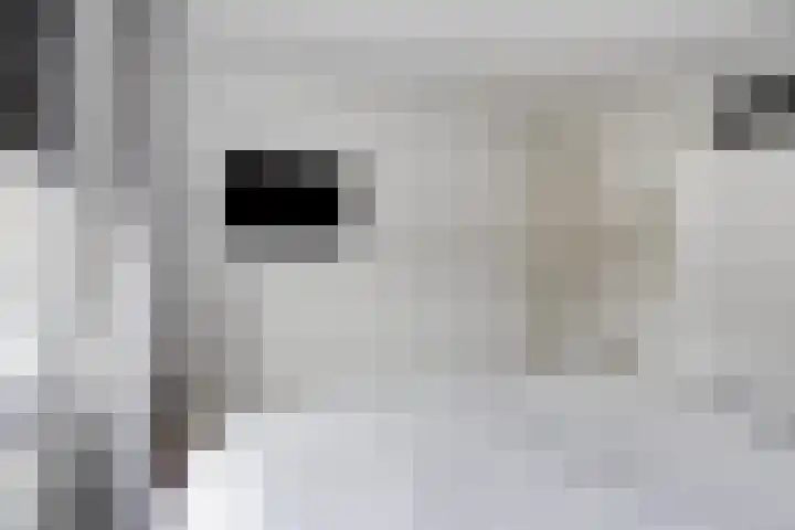 Valeriushof 19 A Maastricht thumbnail 14