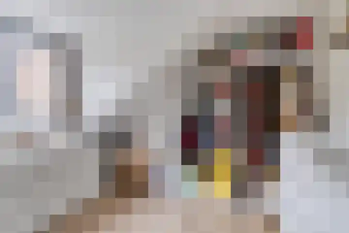 Valeriushof 19 A Maastricht thumbnail 17
