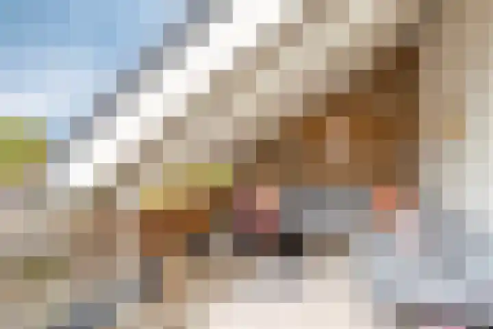 Valeriushof 19 A Maastricht thumbnail 20