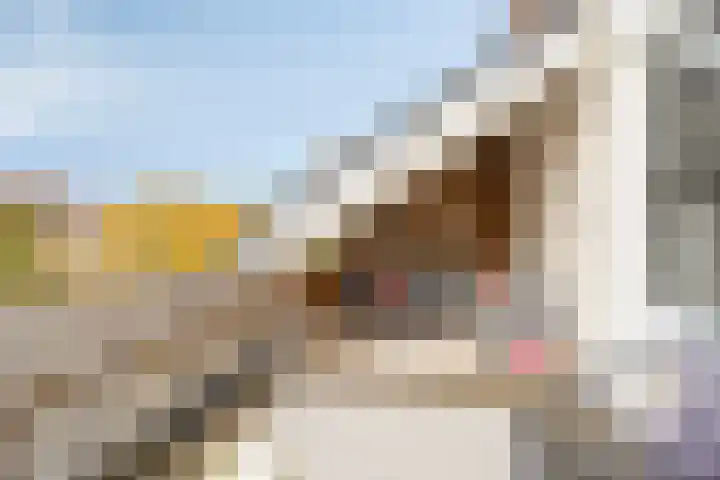 Valeriushof 19 A Maastricht thumbnail 22