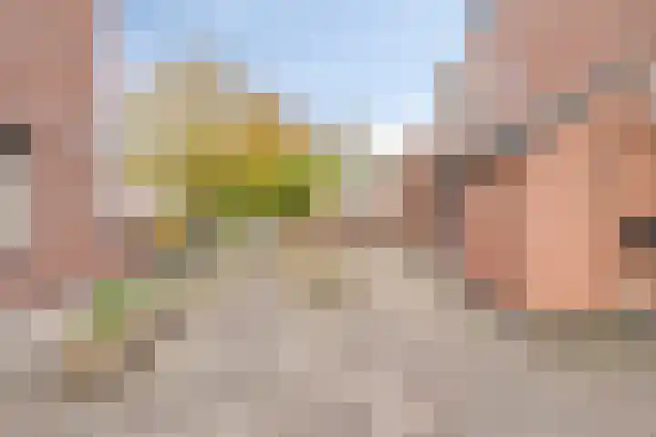 Valeriushof 19 A Maastricht thumbnail 24
