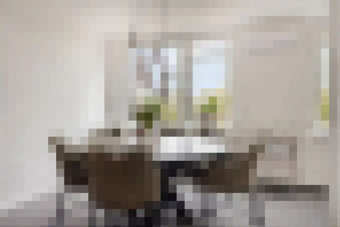 Valeriushof 21 A Maastricht thumbnail 10