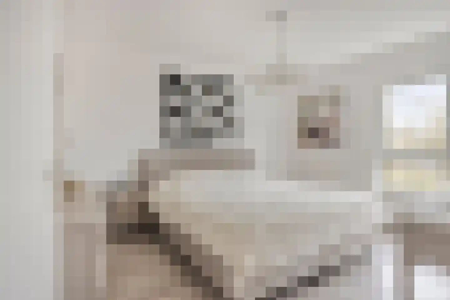 Valeriushof 21 A Maastricht thumbnail 19