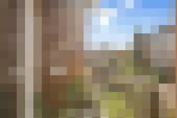 Valeriushof 21 B Amersfoort thumbnail 34