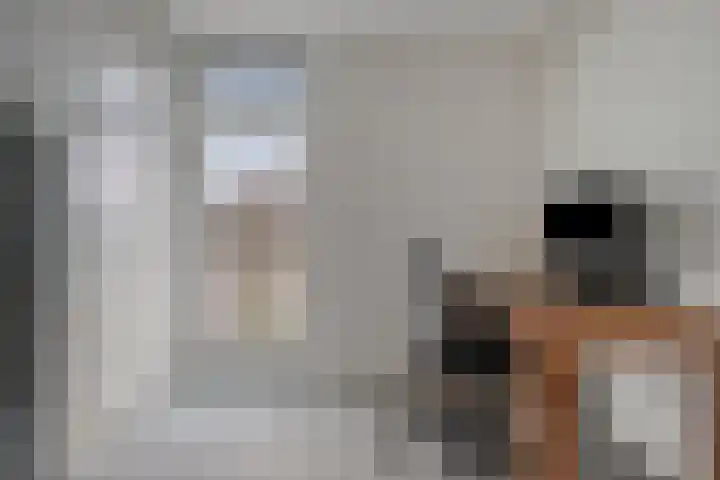 Valeriushof 23 D Amersfoort thumbnail 17