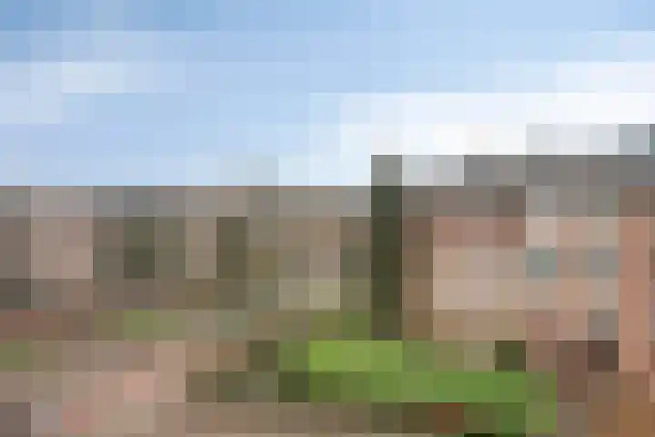 Valeriushof 23 D Amersfoort thumbnail 26