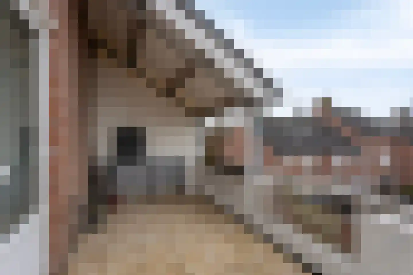 Valeriushof 33 B Maastricht thumbnail 26