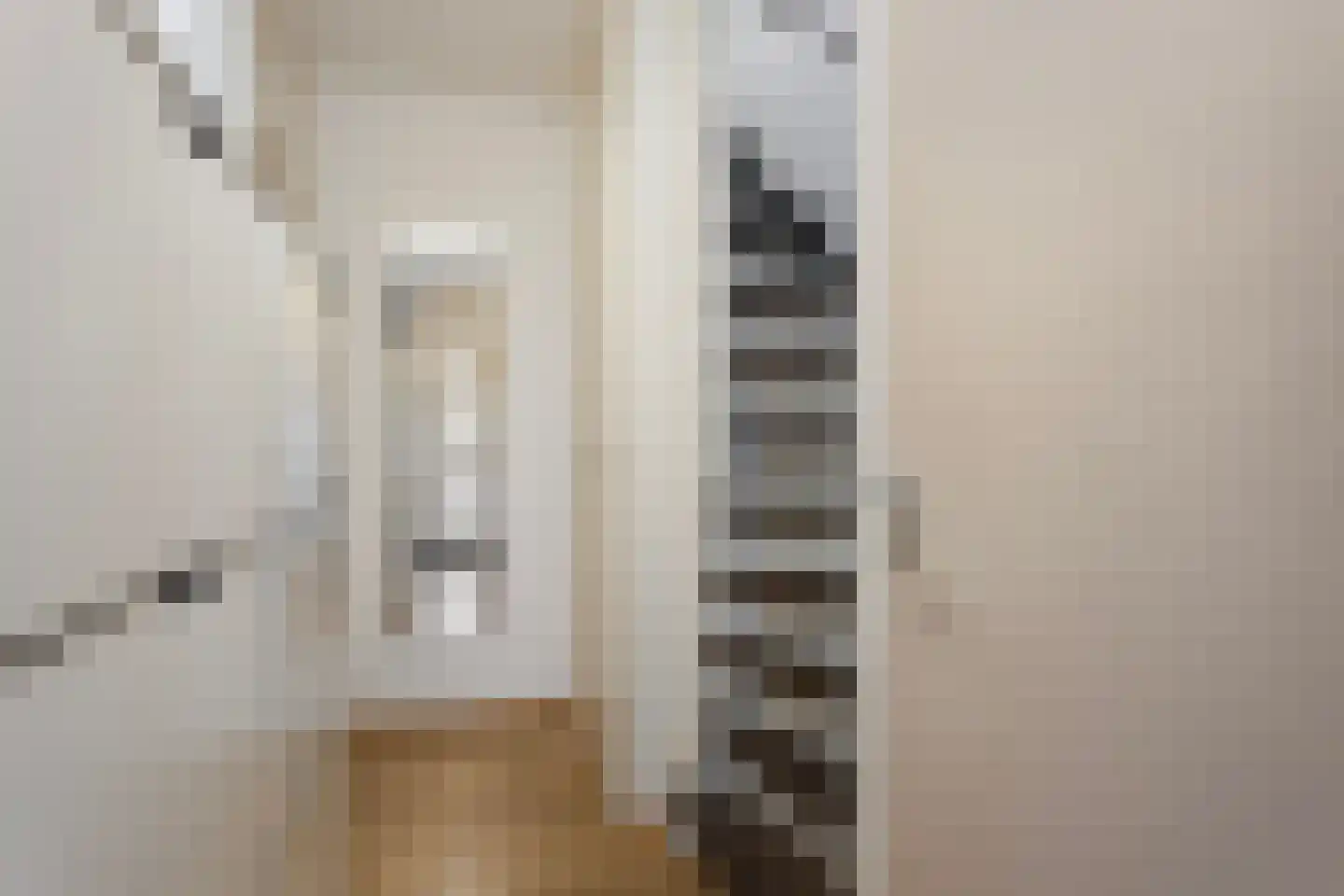 Valeriushof 33 B Maastricht thumbnail 6