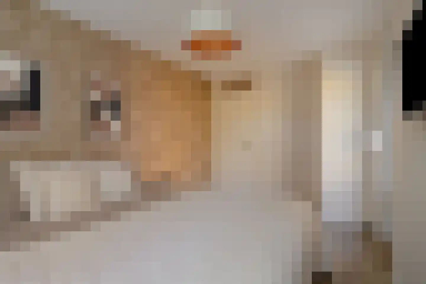 Valeriushof 37 A Maastricht thumbnail 19