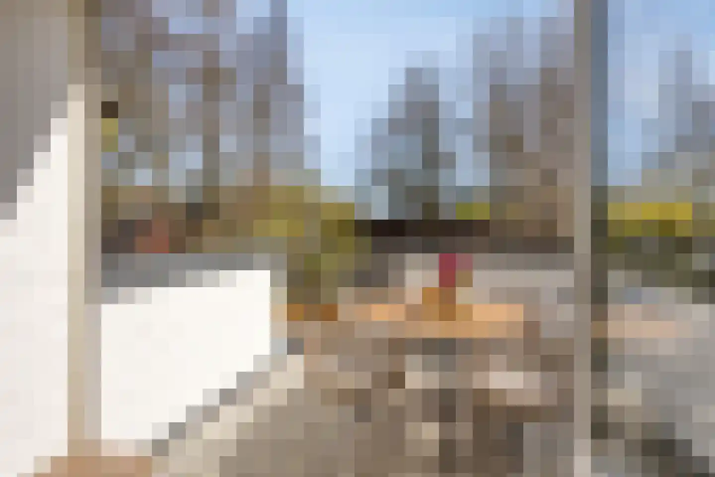 Valeriushof 37 B Maastricht thumbnail 16