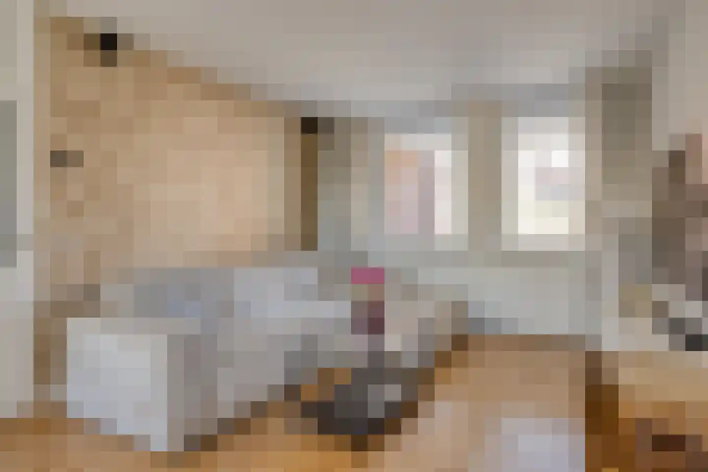Valeriushof 37 B Maastricht thumbnail 8