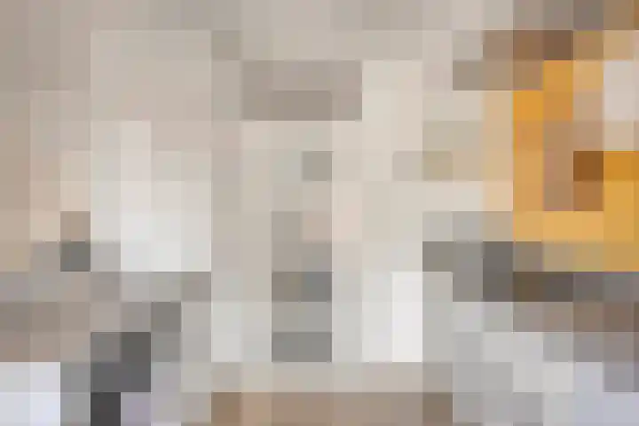 Valeriushof 7 A Maastricht thumbnail 14