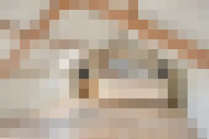 Valeriushof 7 A Maastricht thumbnail 24