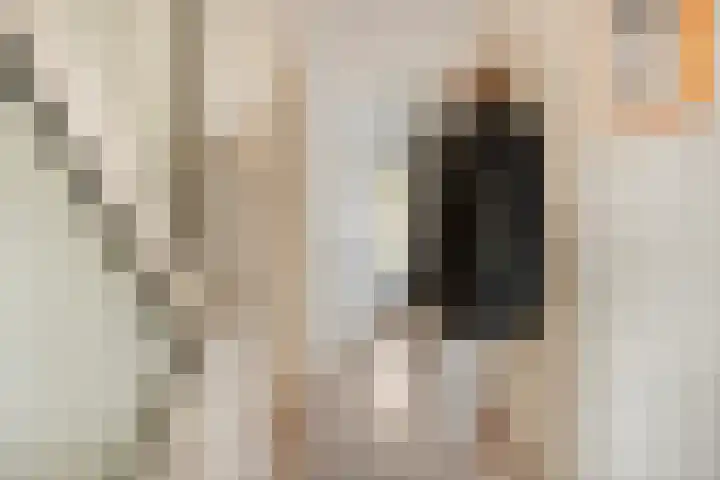 Valeriushof 7 A Maastricht thumbnail 5