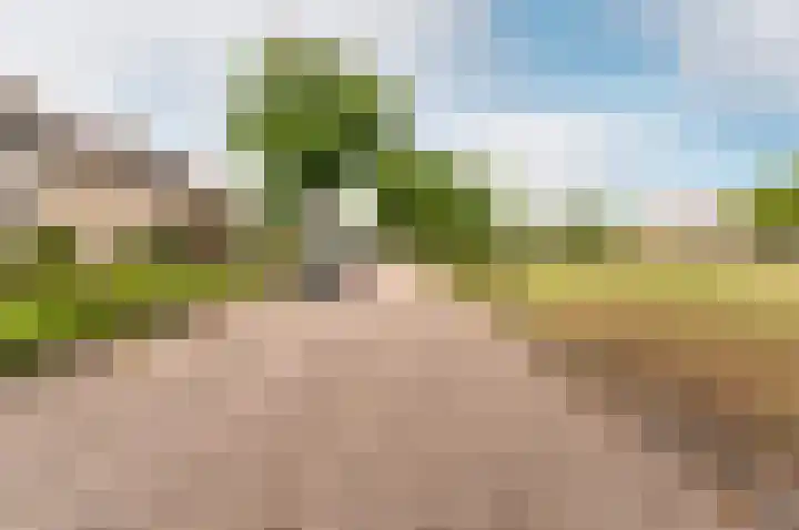 Valeriuslaan 10 Harderwijk thumbnail 45