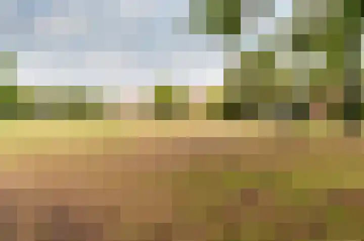 Valeriuslaan 10 Harderwijk thumbnail 47