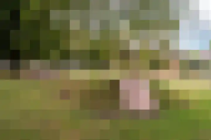 Valeriuslaan 10 Harderwijk thumbnail 48