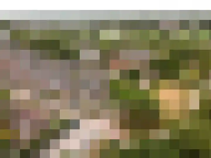 Valeriuslaan 10 Harderwijk thumbnail 51