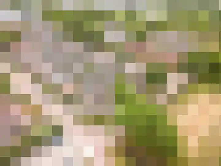 Valeriuslaan 10 Harderwijk thumbnail 52