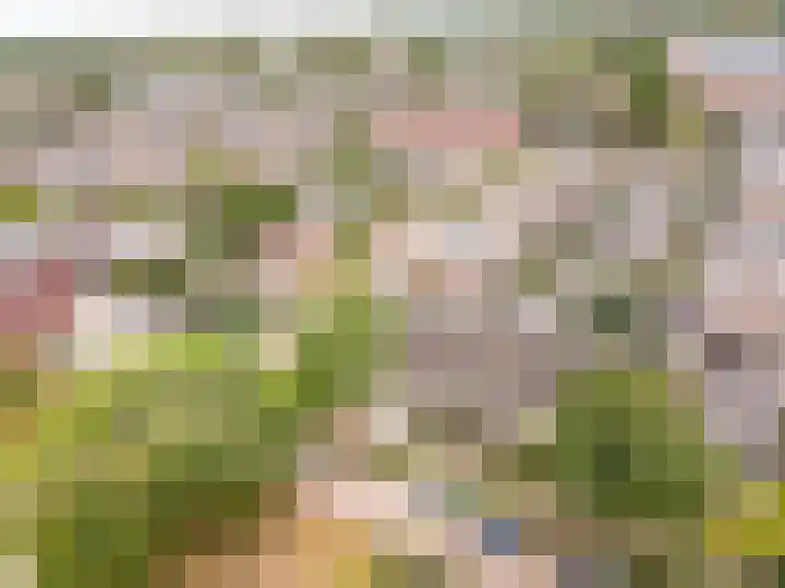 Valeriuslaan 10 Harderwijk thumbnail 53