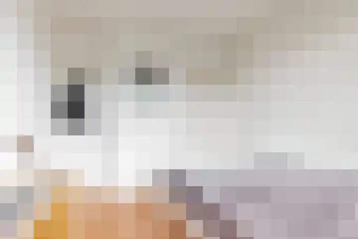 Valeriuslaan 10 Uithoorn thumbnail 10